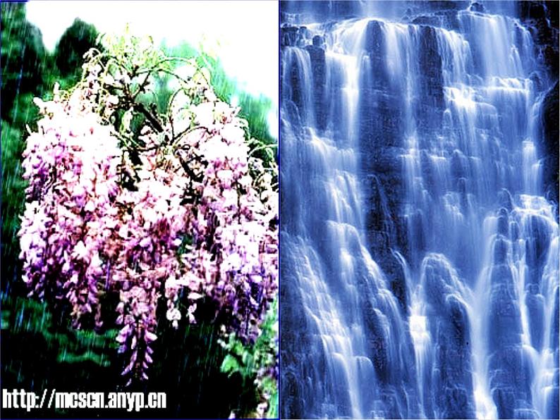 部编版语文七年级下册紫藤萝瀑布5 课件第5页