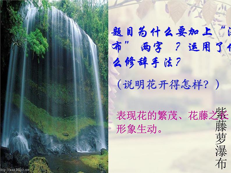 部编版语文七年级下册紫藤萝瀑布5 课件第7页