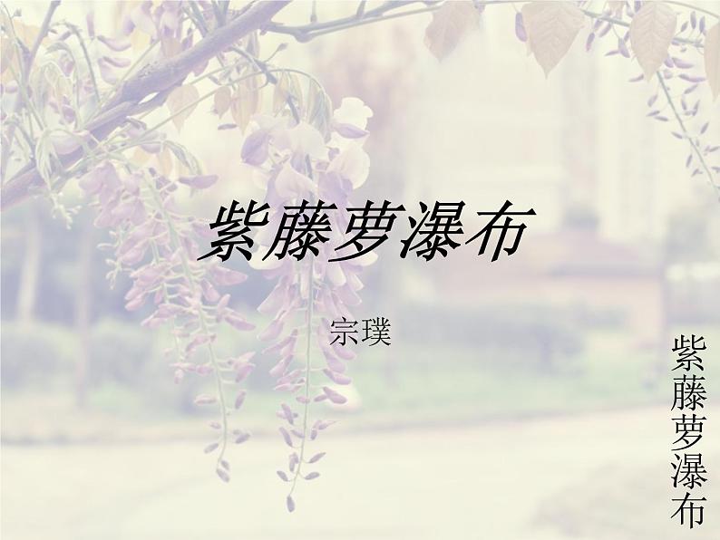 部编版语文七年级下册紫藤萝瀑布5 课件第8页