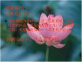 部编版语文七年级下册学习抒情 6课件