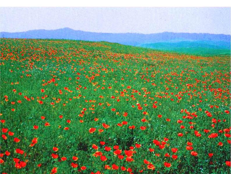 部编版语文七年级下册学习抒情 6课件07