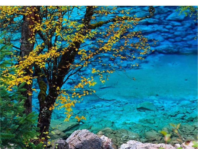 部编版语文七年级下册学习抒情 6课件08