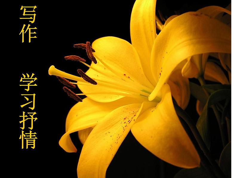 部编版语文七年级下册学习抒情7 课件01