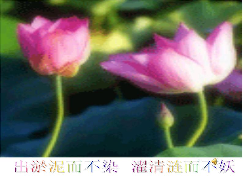 部编版语文七年级下册学习抒情7 课件04