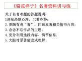 部编版语文七年级下册《骆驼祥子》名著资料讲与练课件