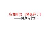 部编版语文七年级下册名著阅读   《骆驼祥子》  主课件