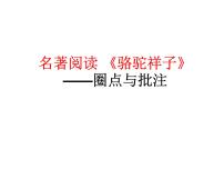 人教部编版七年级下册名著导读《骆驼祥子》：圈点与批注教学课件ppt