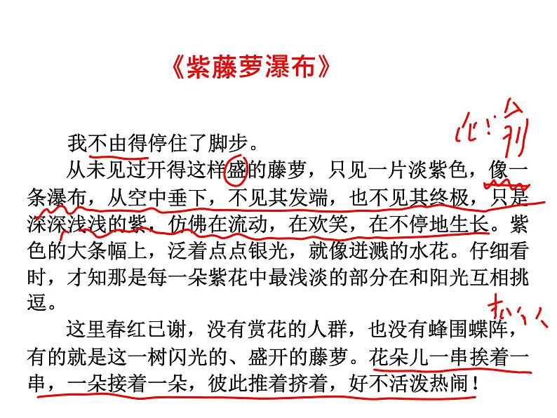 部编版语文七年级下册名著阅读   《骆驼祥子》  主课件第6页
