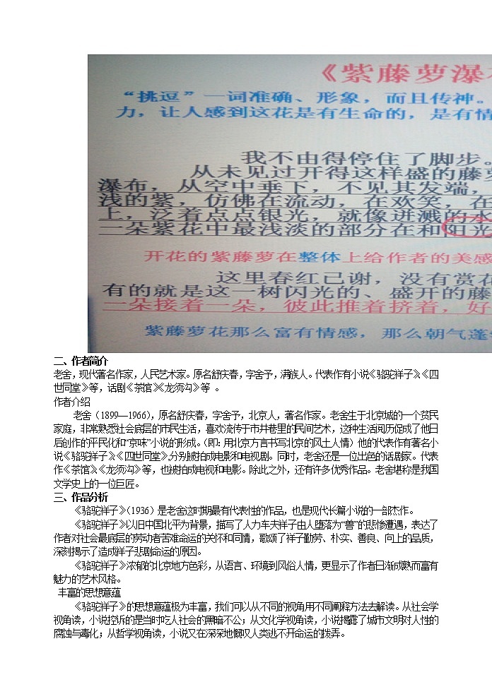 部编版语文七年级下册名著阅读 《骆驼祥子》——圈点与批注   配套教案第3页