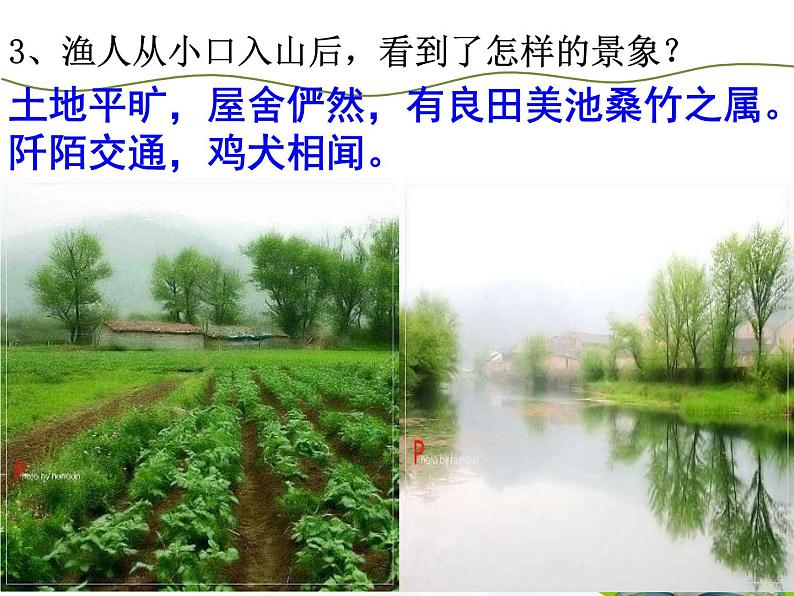 人教部编版语文八年级下册《桃花源记》ppt课件（25页）第6页