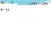 人教部编语文九年级上3.乡愁 习题课件