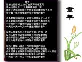 人教部编版语文八年级下册1鲁迅《社戏》ppt课件（48页）