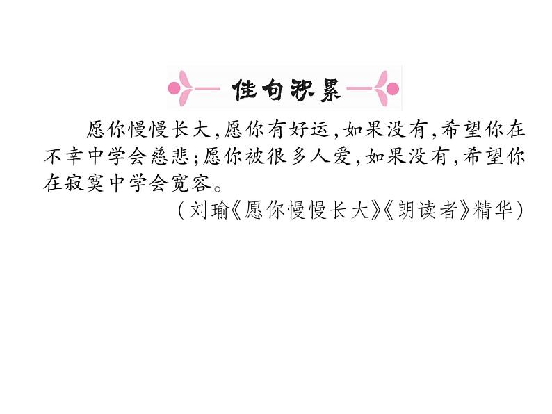 人教部编版语文八年级下册4  灯笼（共31张PPT）第3页