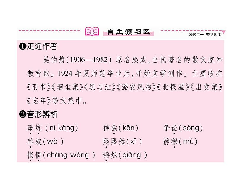 人教部编版语文八年级下册4  灯笼（共31张PPT）第5页