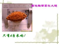 人教部编版八年级下册11*核舟记课文配套课件ppt