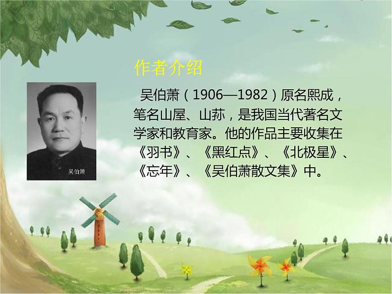 人教部编版语文八年级下册4《灯笼》备选PPT课件第3页