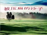 人教部编版语文八年级下册6《被压扁的沙子》公开课ppt课件