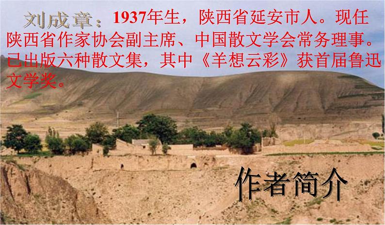 人教部编版语文八年级下册3《安塞腰鼓》ppt课件（52页）07