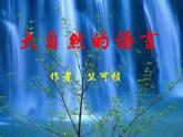 人教部编版语文八年级下册5《大自然的语言》公开课ppt课件