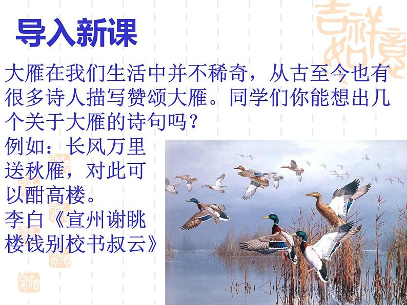 人教部编版语文八年级下册7《大雁归来》ppt课件（27页）01