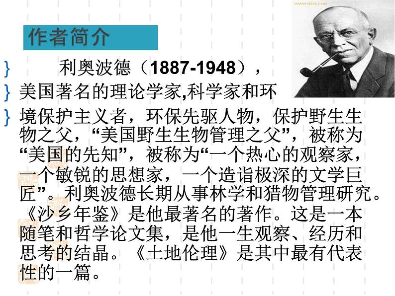 人教部编版语文八年级下册7《大雁归来》ppt课件（27页）05