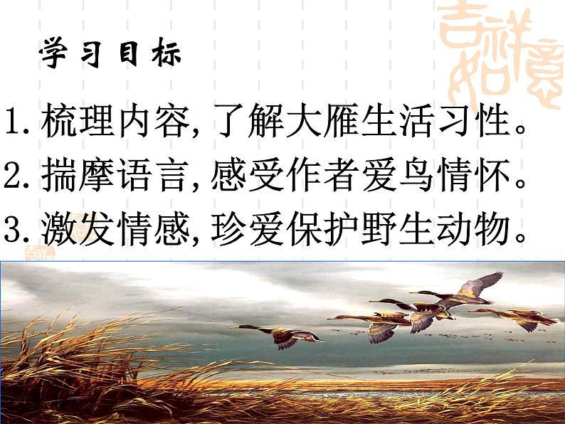 人教部编版语文八年级下册7《大雁归来》ppt课件（27页）07