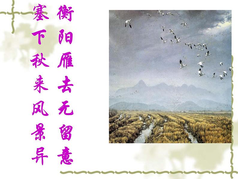 人教部编版语文八年级下册7课《大雁归来》ppt课件（2）第5页