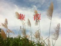 2020-2021学年蒹葭评课课件ppt