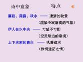 人教部编版语文八年级下册12《蒹葭》ppt公开课课件（11页）含教案