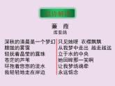 人教部编版语文八年级下册12《蒹葭》ppt公开课课件（11页）含教案