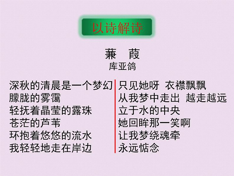 人教部编版语文八年级下册12《蒹葭》ppt公开课课件（11页）含教案05