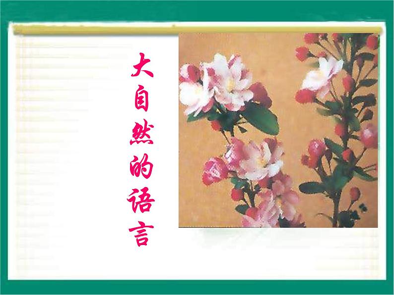 人教部编版语文八年级下册5《大自然的语言》ppt优秀课件第1页