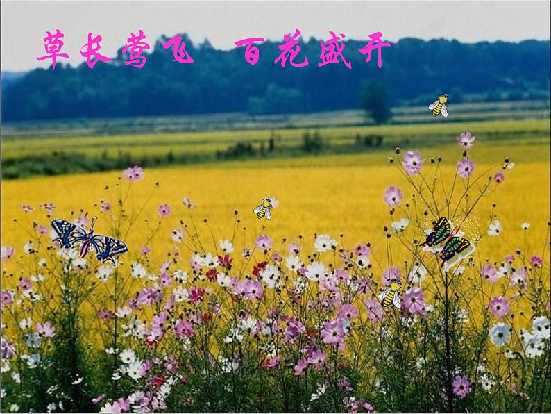 人教部编版语文八年级下册5《大自然的语言》ppt优秀课件第6页