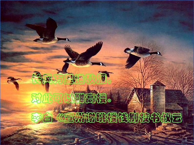 人教部编版语文八年级下册7《大雁归来》ppt优选课件第4页