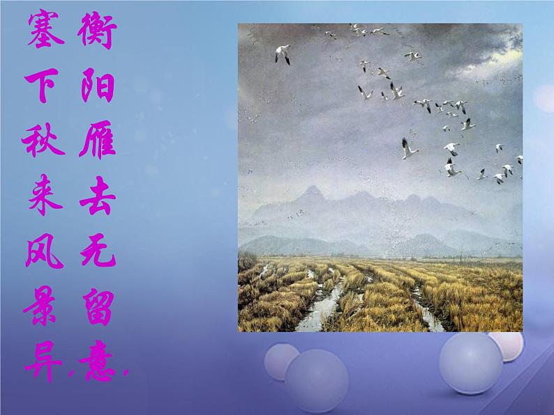 人教部编版语文八年级下册7《大雁归来》ppt优选课件第5页
