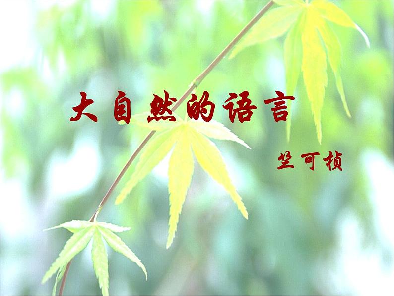 人教部编版语文八年级下册5《大自然的语言》ppt精选课件第4页