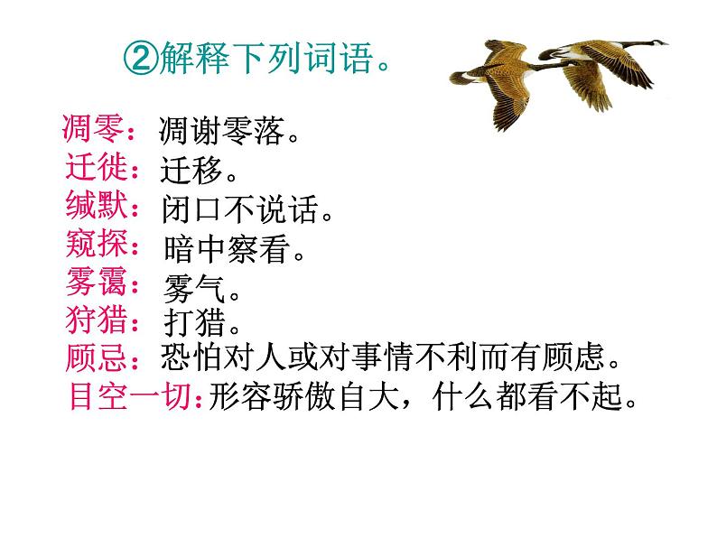 人教部编版语文八年级下册7《大雁归来》ppt课件05