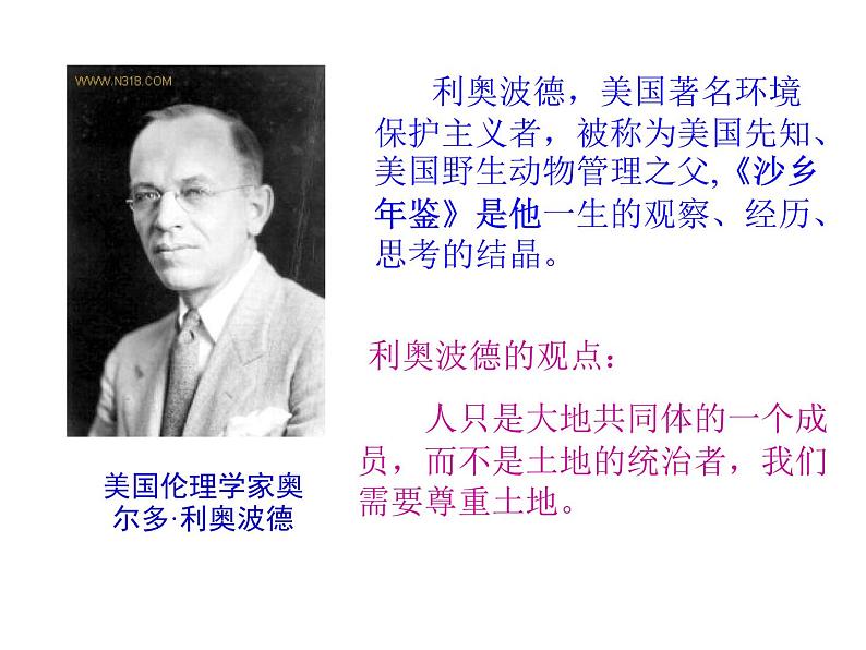 人教部编版语文八年级下册7《大雁归来》ppt课件06