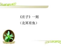 初中语文人教部编版八年级下册北冥有鱼课文配套课件ppt