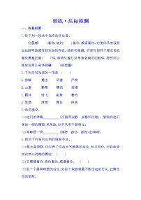 语文八年级下册3*安塞腰鼓课后复习题