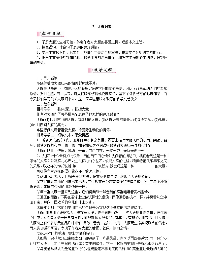 人教部编版语文八年级下册 7大雁归来 教案第1页
