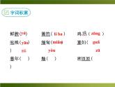 人教部编语文八年级上 -14 昆明的雨 （共12张PPT）