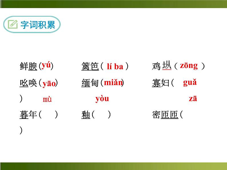 人教部编语文八年级上 -14 昆明的雨 （共12张PPT）第5页