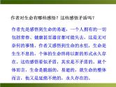 人教部编语文八年级上 -15 散文二篇 （共19张PPT）