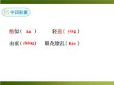 人教部编语文八年级上 -3 “飞天”凌空—跳水姑娘吕伟夺魁记 （共13张PPT）