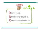 人教部编语文八年级上 学习写消息 课件