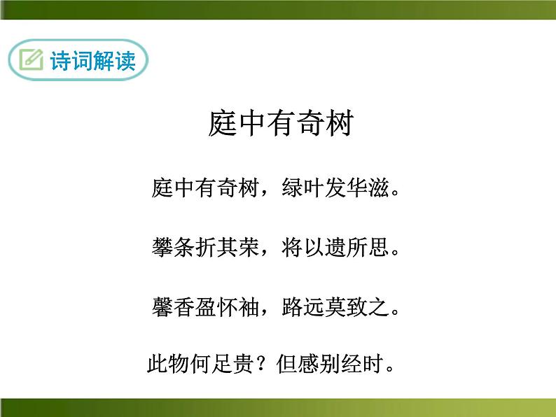 人教部编语文八年级上 课外古诗词1·庭中有奇树 课件03
