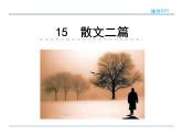 人教部编语文八年级上 15  散文二篇 课件