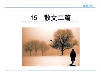 2020-2021学年14 白杨礼赞教学演示课件ppt