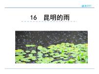 初中语文人教部编版八年级上册16* 昆明的雨课文课件ppt